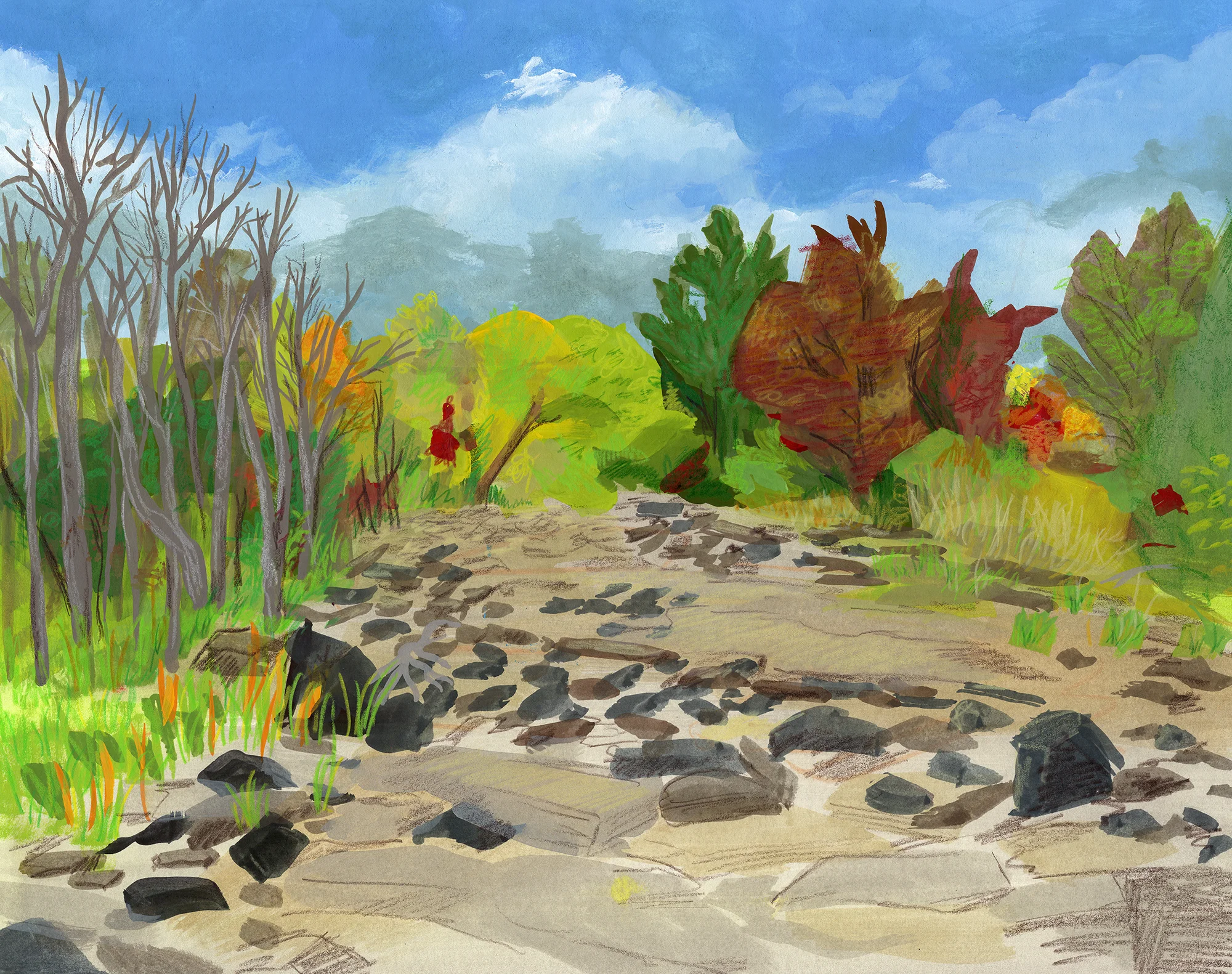 SalmonRiver02-jp.jpg