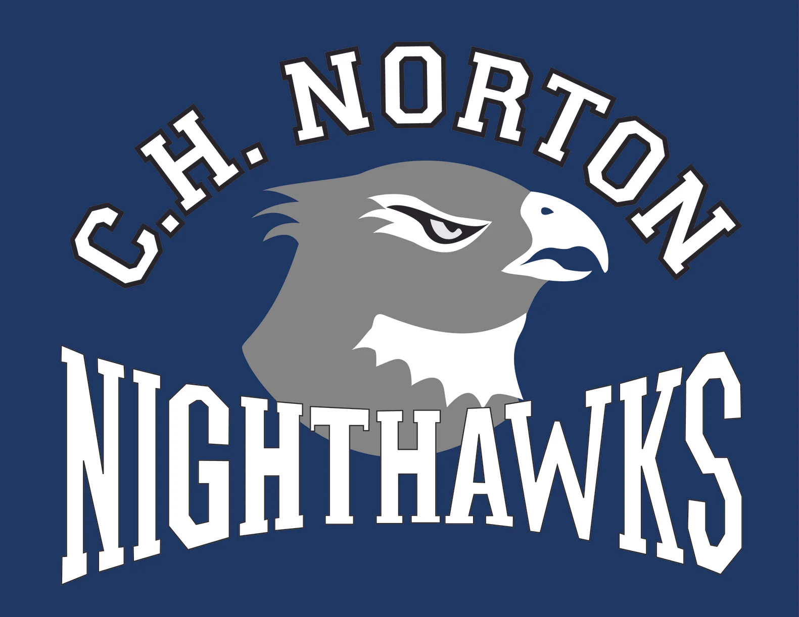 Nighthawks_Logo_Med.jpg