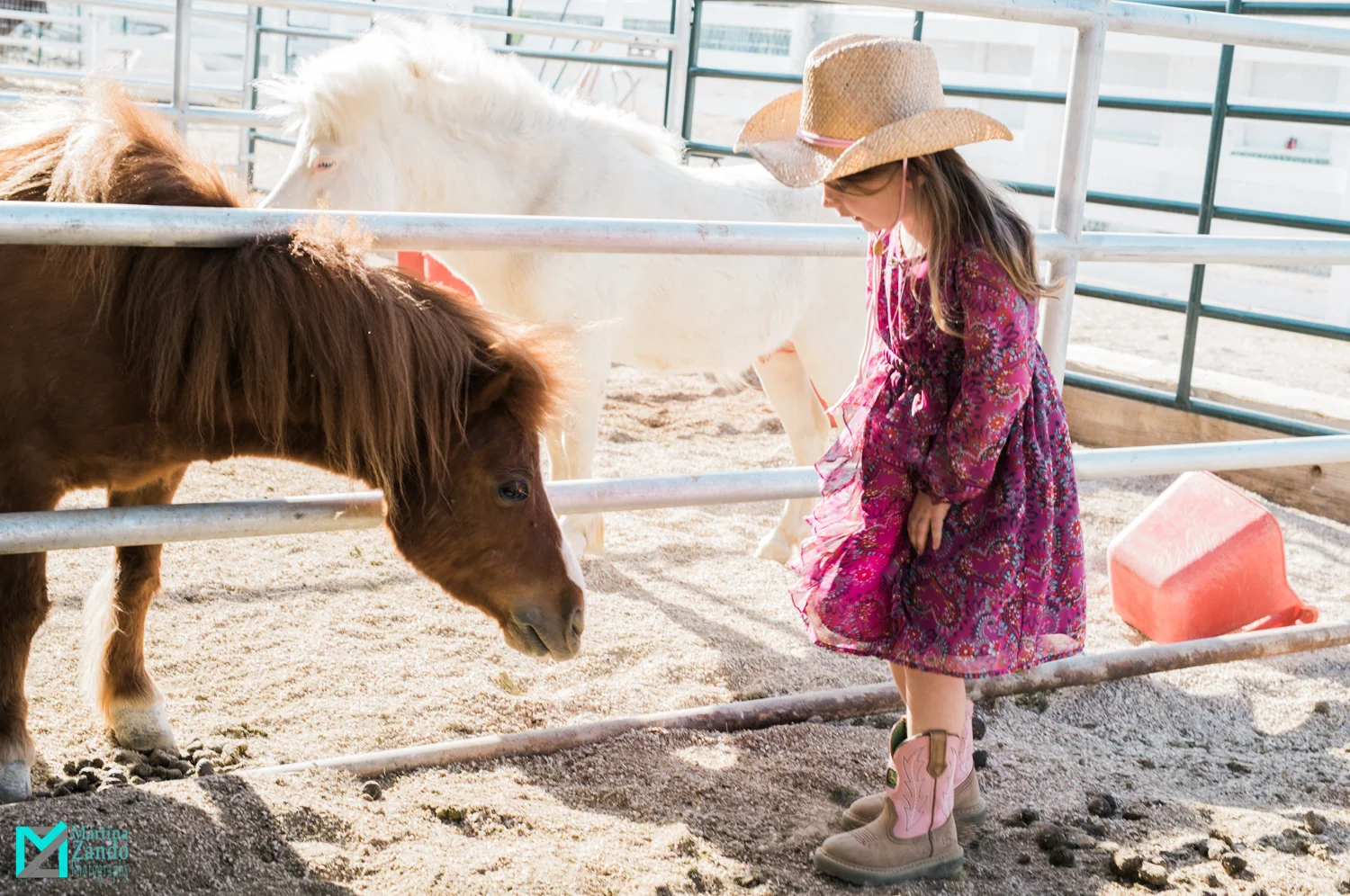 Floyd Lamb Park- Martina_Zando-E-9922.jpg