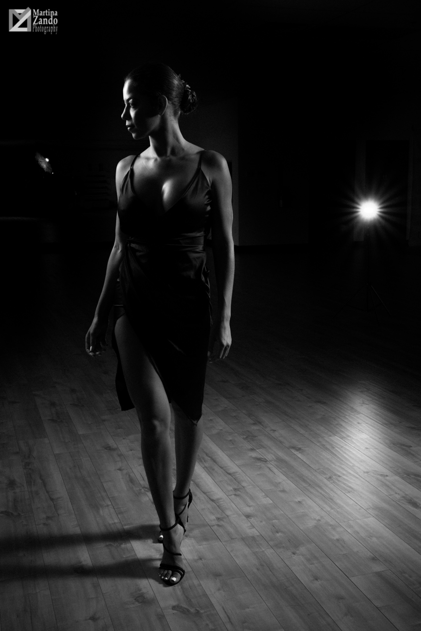 black and white silhouette of beautiful dancer