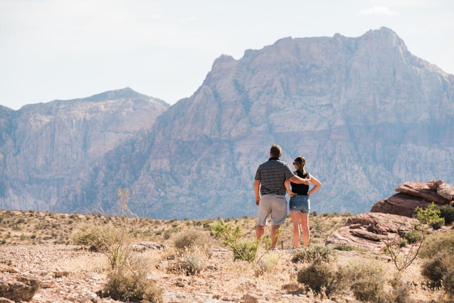 Desert Surprise Wedding Proposal