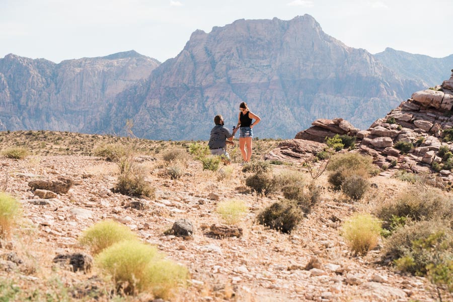 Desert Surprise Wedding Proposal