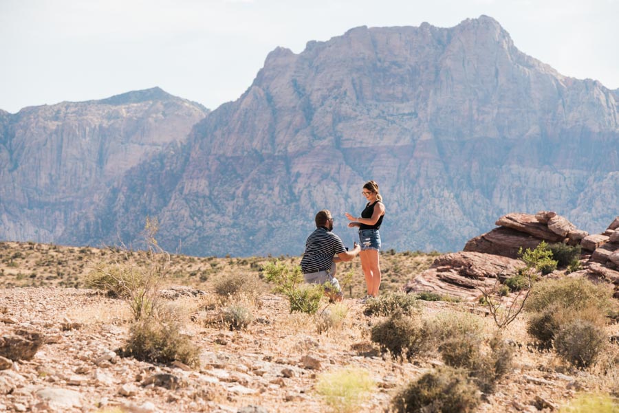Red Rocks Surprise Wedding Proposal