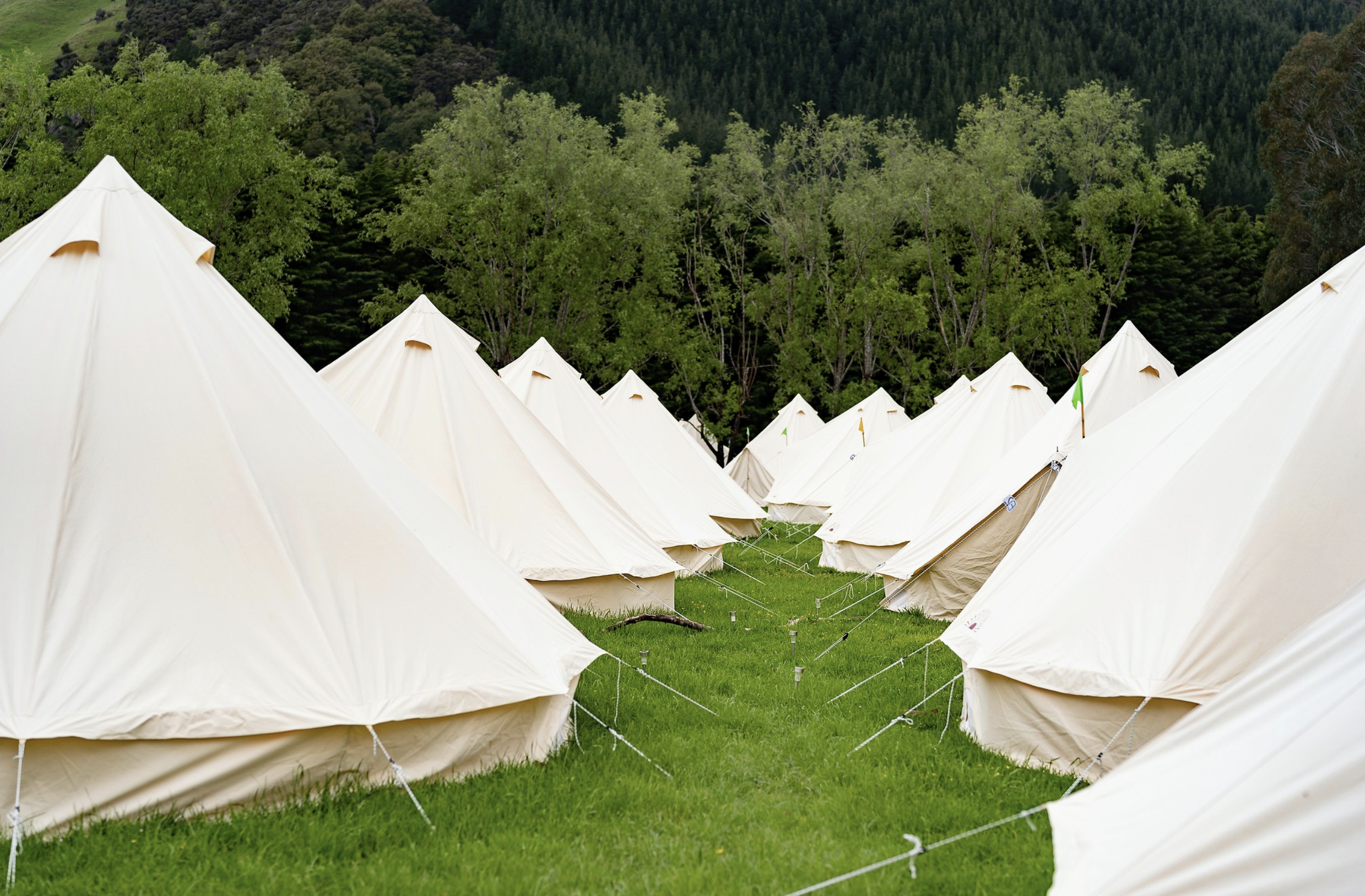 EHF - Welcome Week Reflections