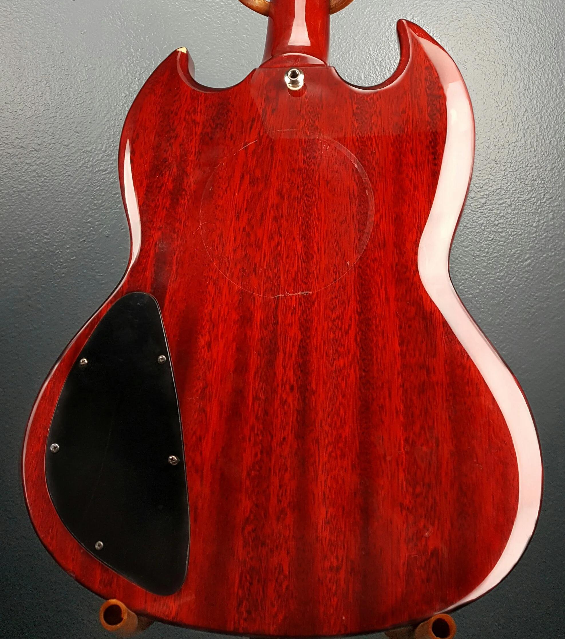 sg back.jpg