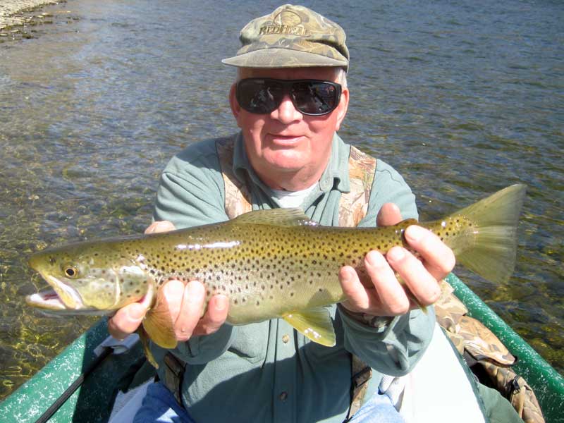 Beautiful Brown Trout on the Delaware River