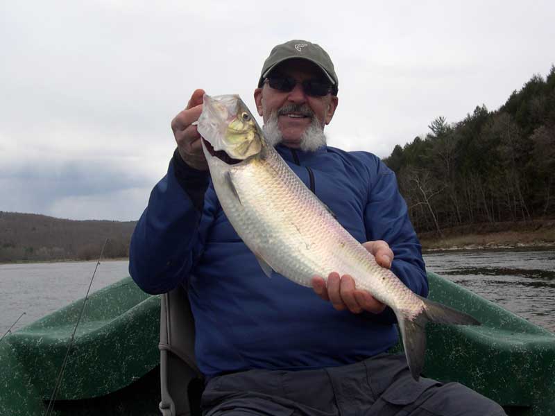 Happy Shad fishing on the Delaware River
