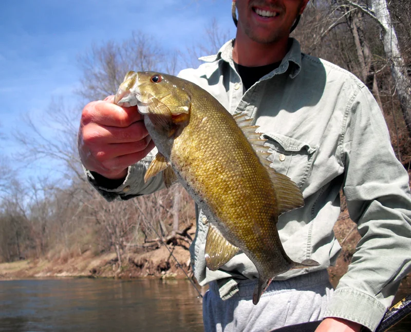 Smallmouth Bass