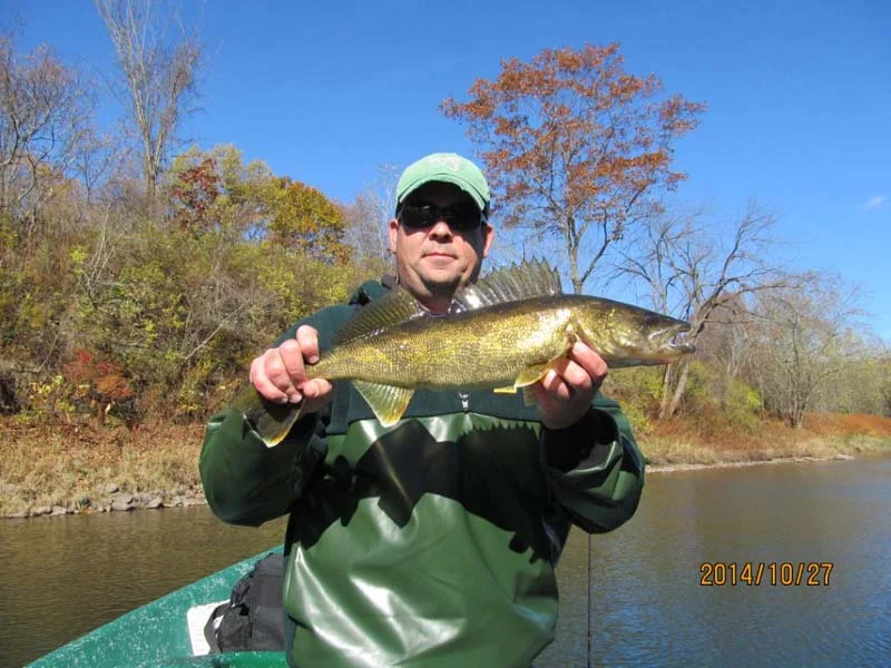 Delaware River Walleye, Sweetwater Guide Service