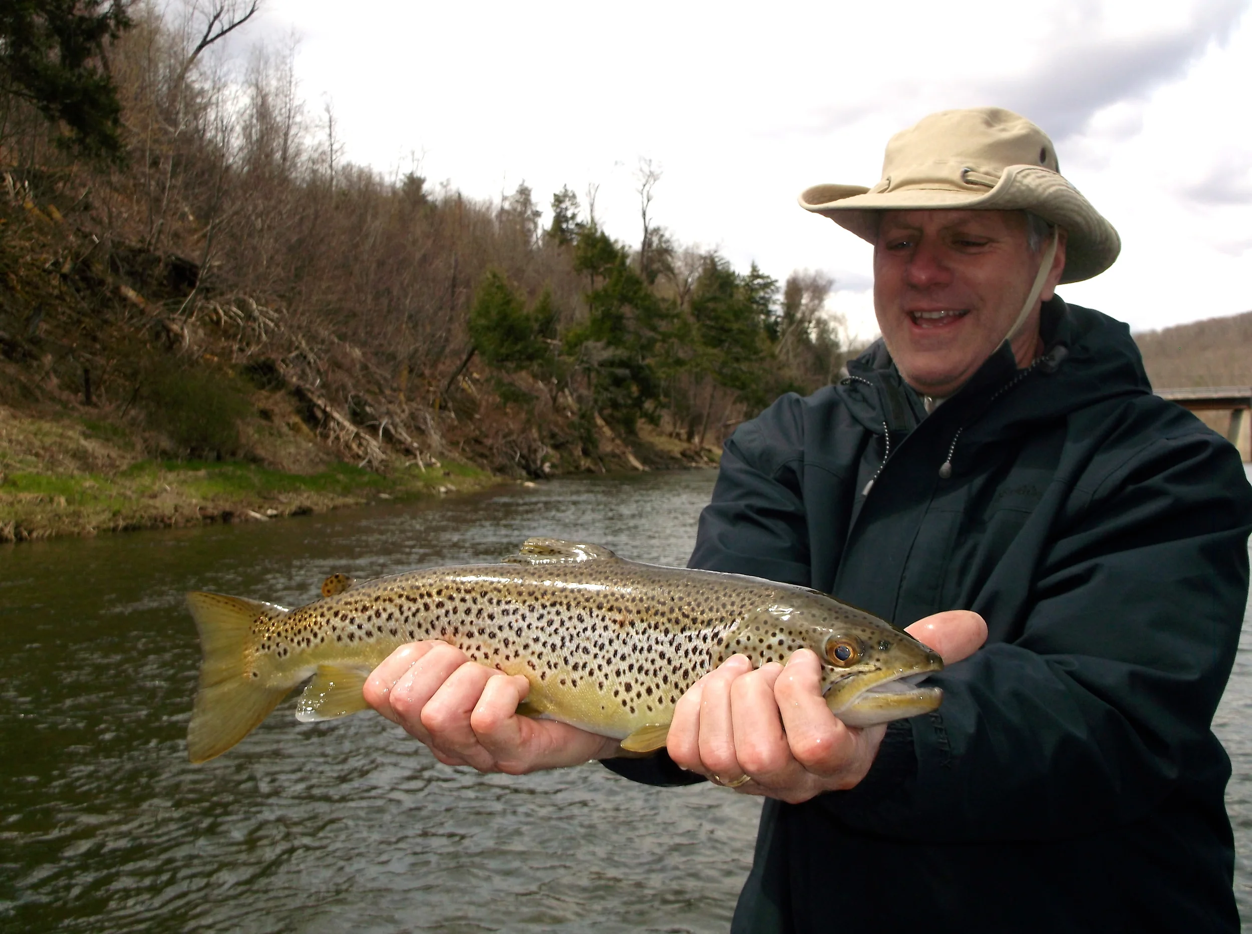 fly fishing for Brown trout on the Delaware river with Sweetwater Guide Service