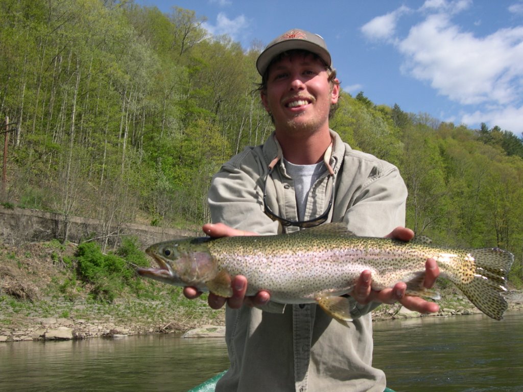 Big rainbow trout on the Delaware river fly fishing