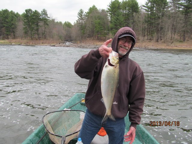 Shad fishing on the Delaware River with Sweetwater Guide Service