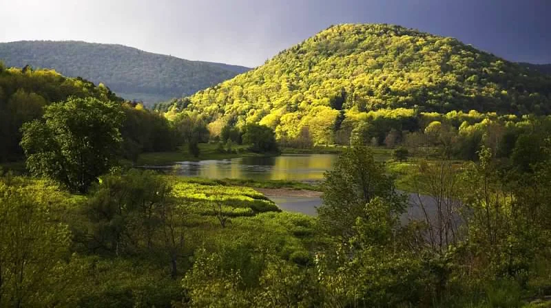 website david soete cropped.jpg