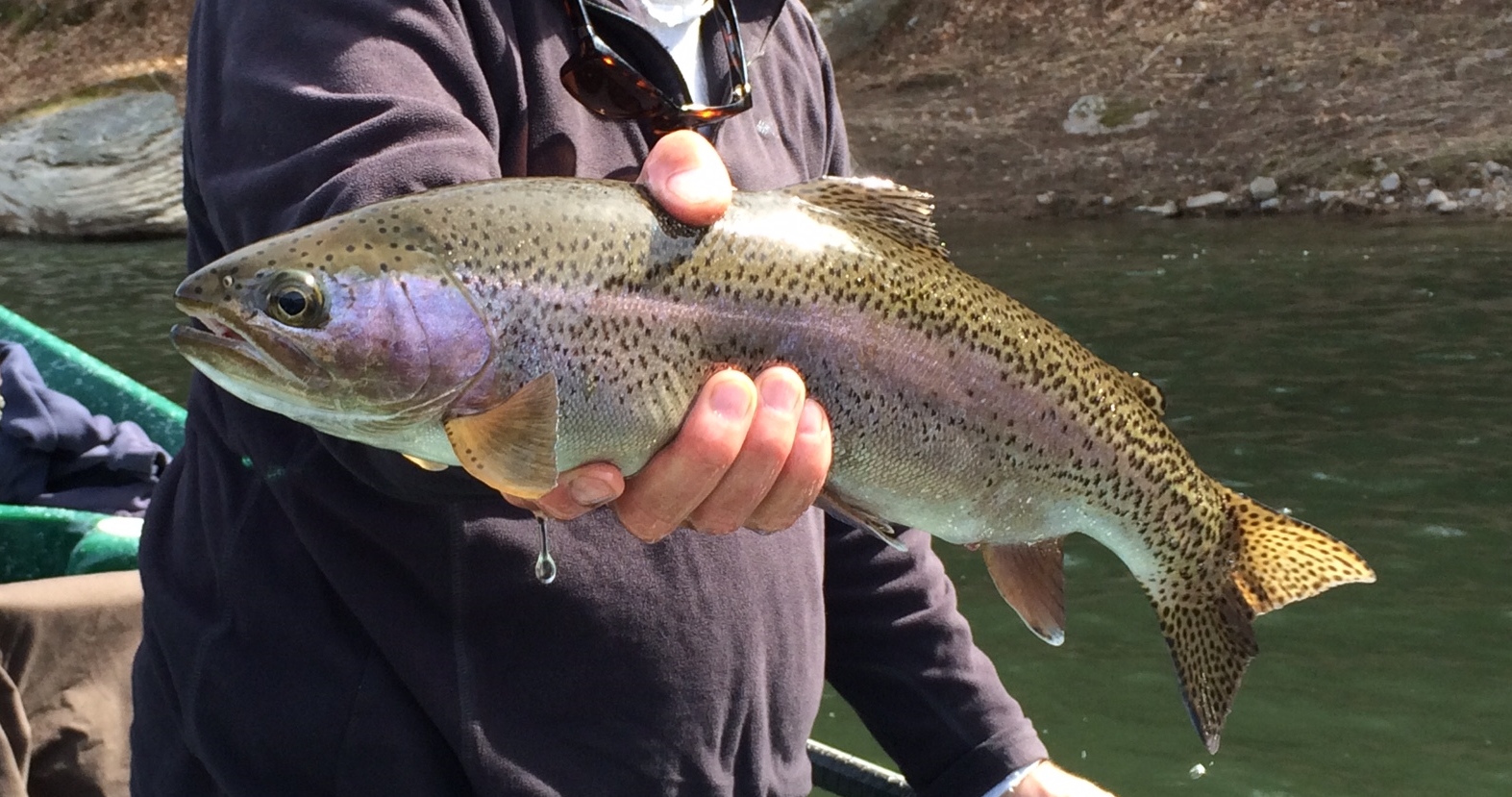 Mike P. Holding a 20" wild Rainbow taken on a Black hair jig, main stem.