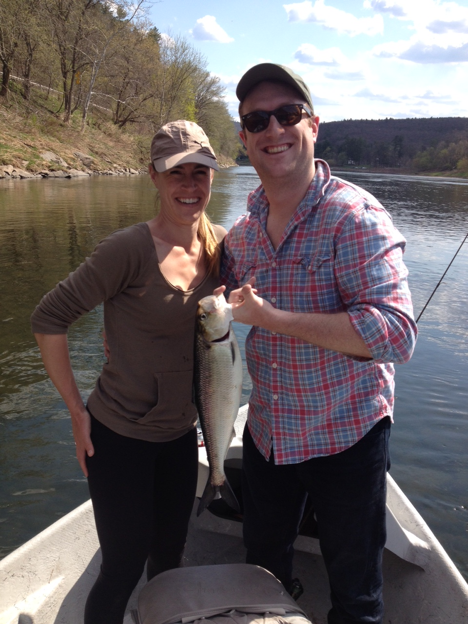 The NYC couple boated 7 Shad today, nice work!