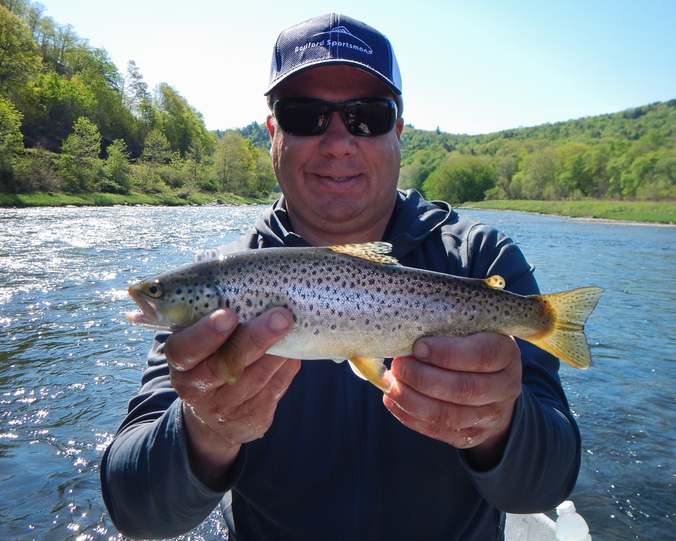 15" Brown Trout