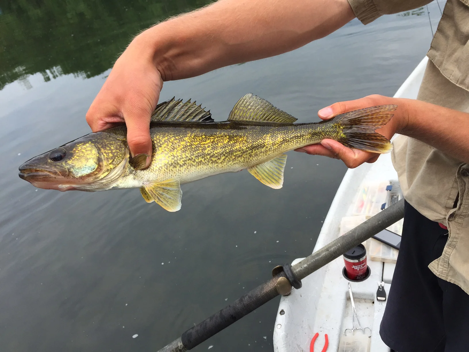Skinny Spring Walleye