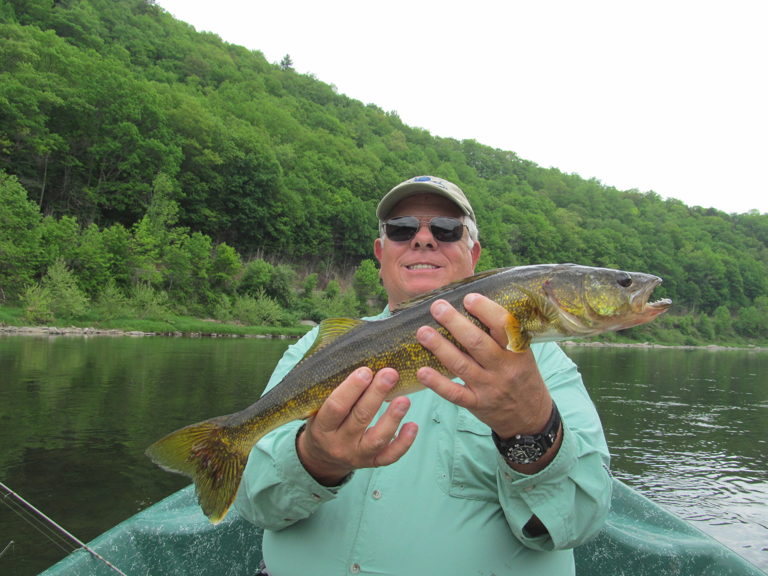 5/26/15 John P. maiden voyage on the Delaware! 23" Walleye welcomes him.