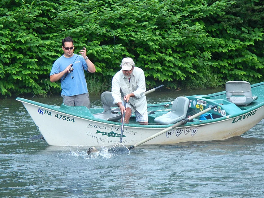 6/19/15 Guide Mike P. getting the net!