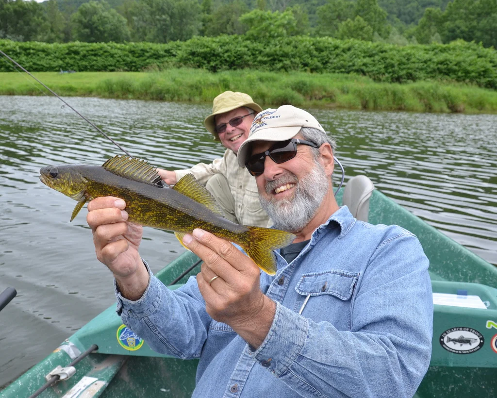 6/20/15 Junction pool Walleye on the Main stem!