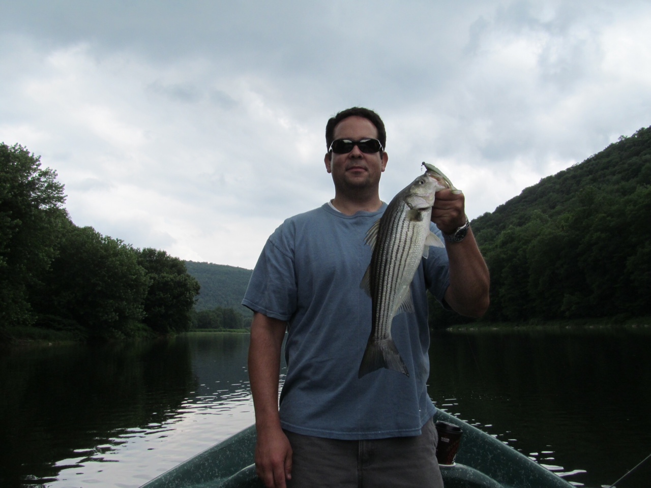 6/19/15 Another Striper 300 miles from the ocean!