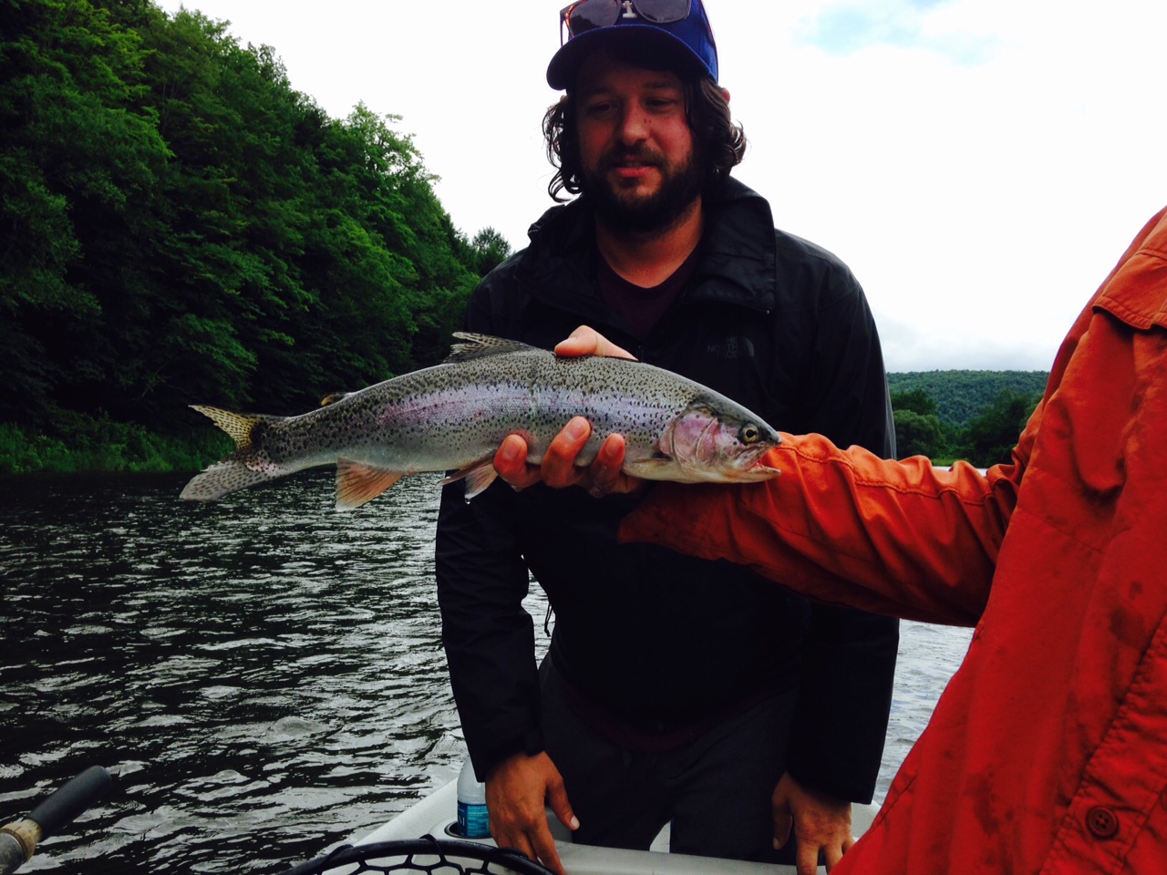 Ian slams this Wild Rainbow on a gold spinner.
