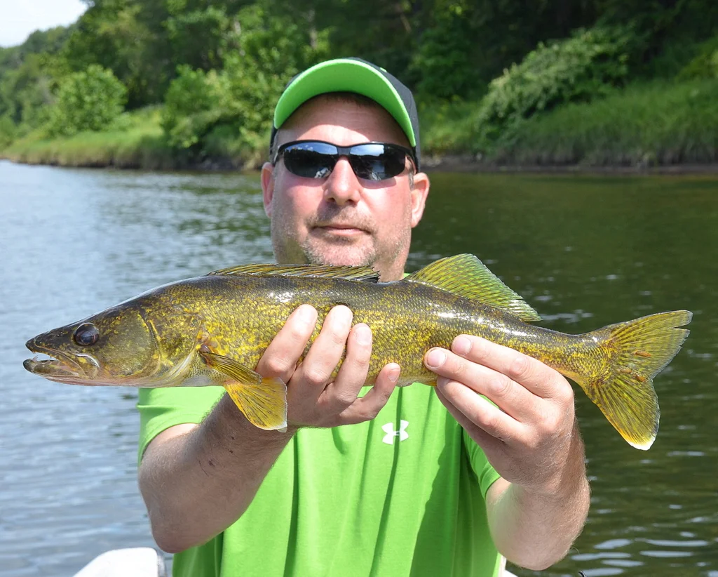 8/6/15 Aaron L. with a nice 19" Walleye