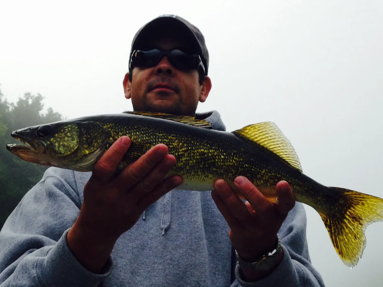 09/19/15 Dan B. finds a nice 20" Walleye