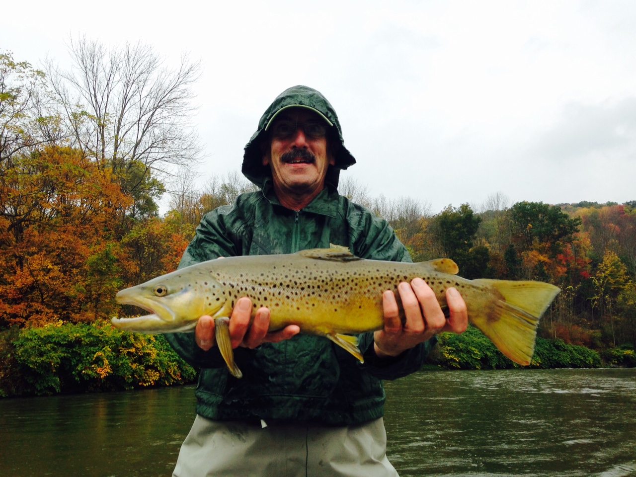 10/9/15 George W. caught this slammer 21" brown on the West Branch!