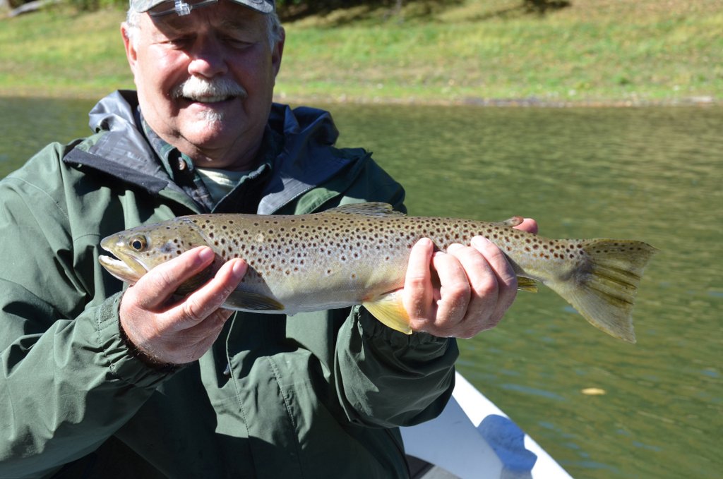 10/10/15Bob L. with a 18" main stem Brown trout