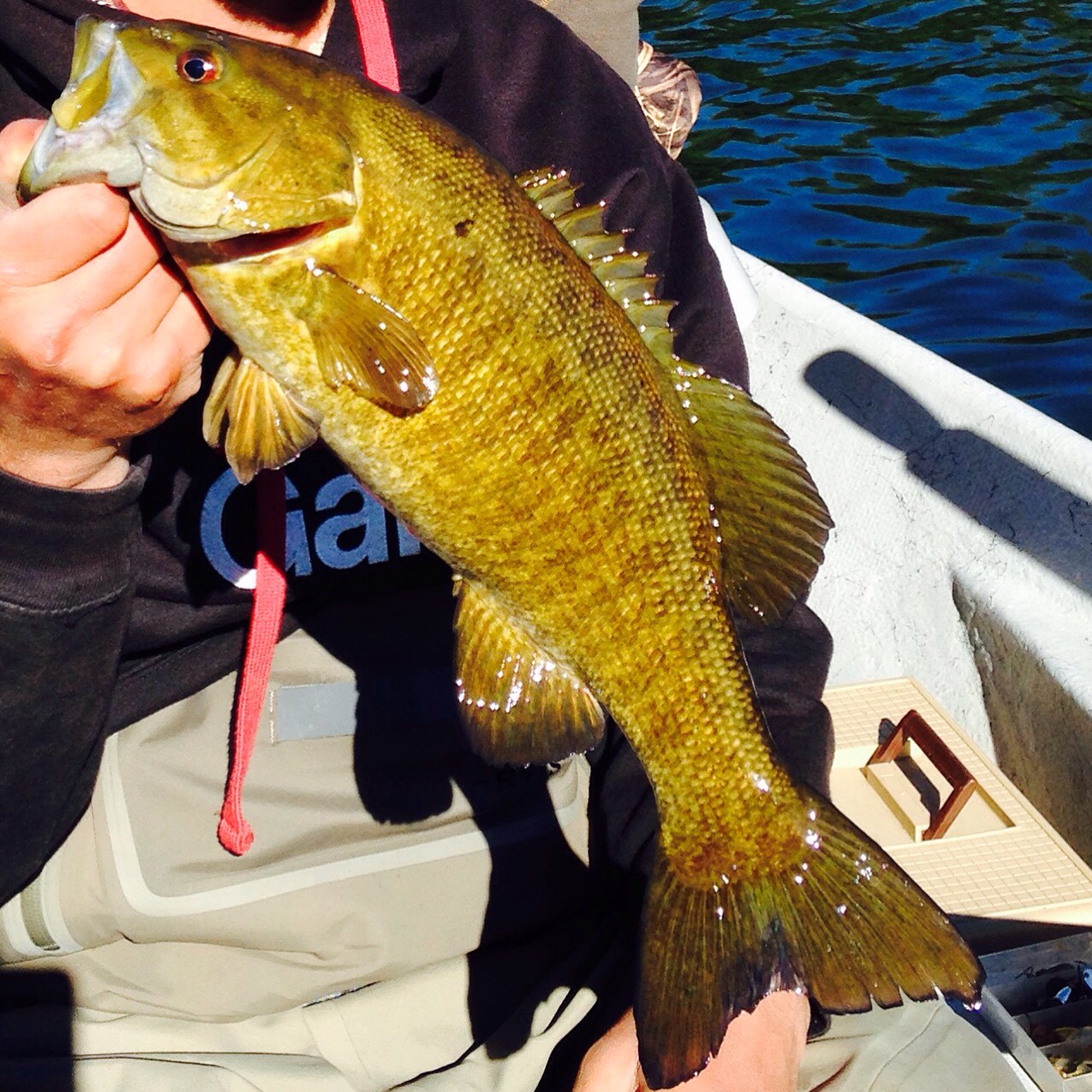 10/19/15A nice 17" Smallmouth