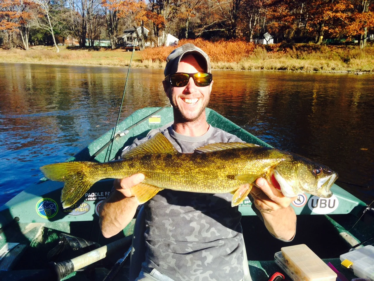 11/3/15Matt slams this beauty of a 24" Walleye!
