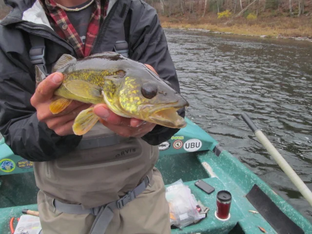 11/7/15Guide Evan P. Displays an "EYE"!