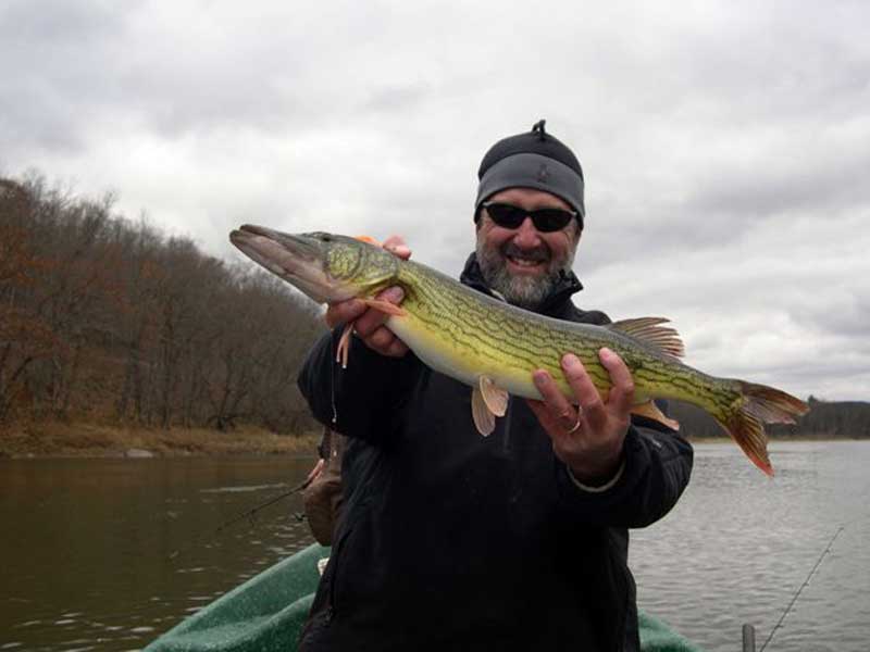 27" Chain Pickerel for Guide Mike P.