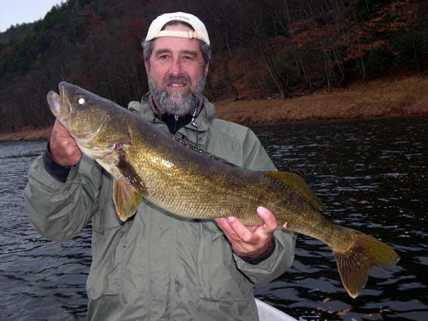 31" Walleye for Guide Mike P.