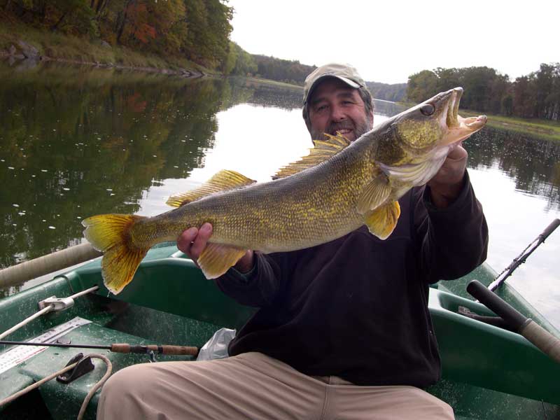 32" Walleye for Guide Mike P.