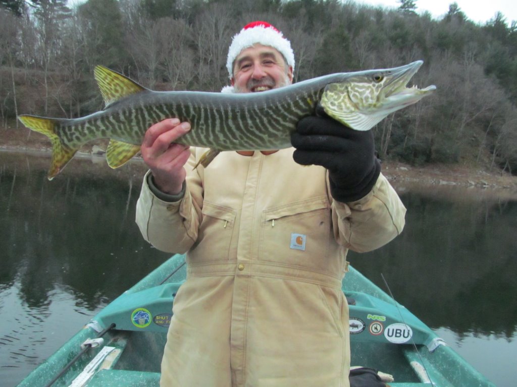 28" Tiger Muskie for Guide Mike P.