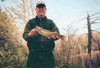 17" Native Brook trout for Bob