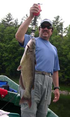 27" Channel Cat for Joe