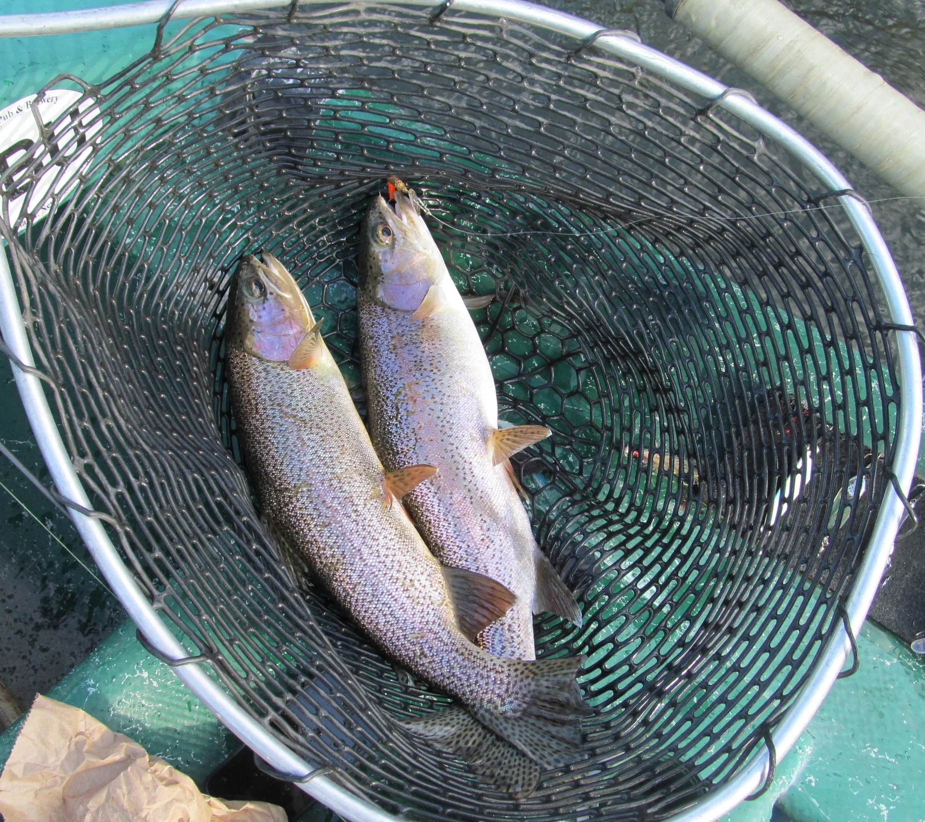 2/6/16 A Double Rainbow for Len and Joe on this mid winter day!