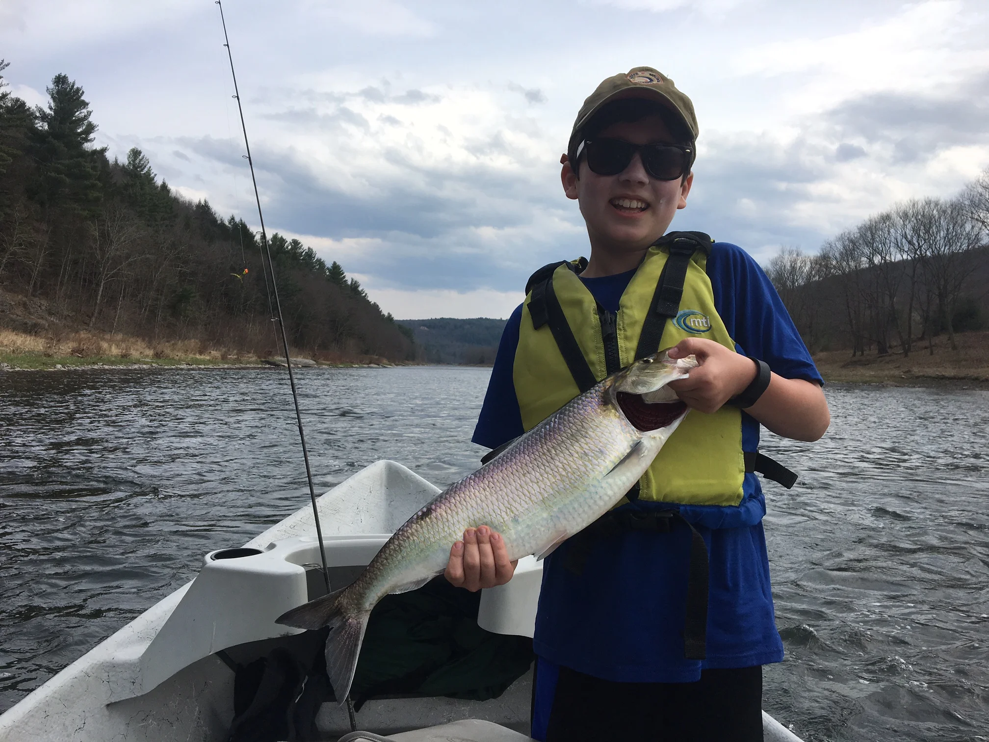 4/22/16 Benny making it happen with this 23" Roe American Shad!!