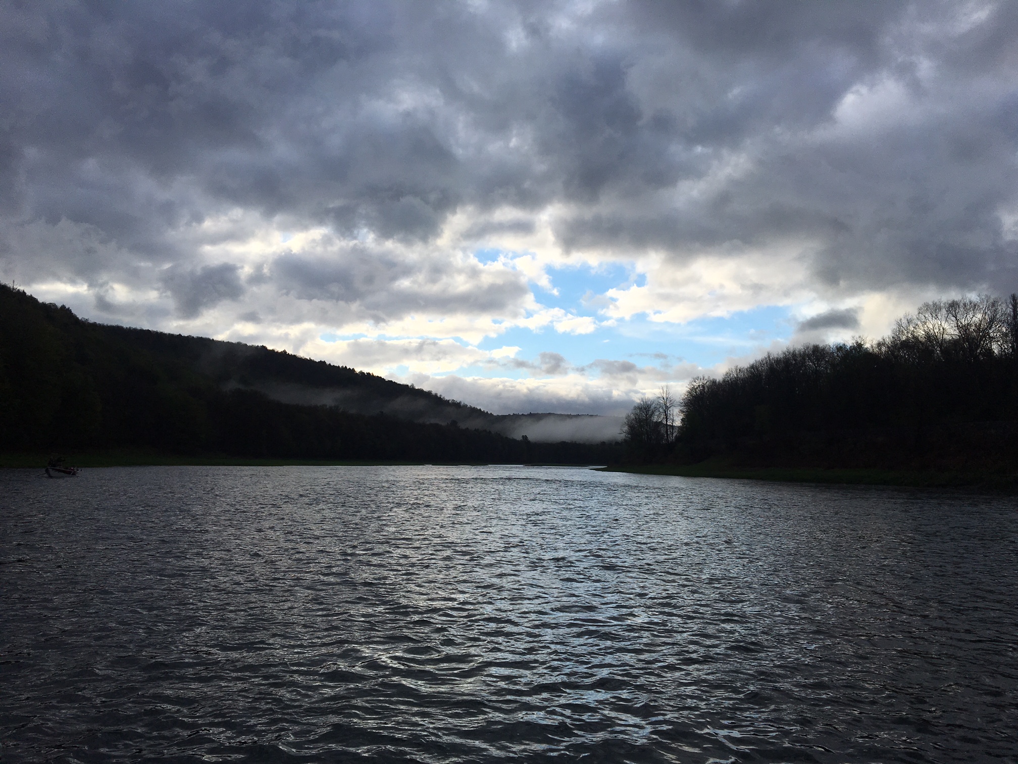 Long Eddy Scenic