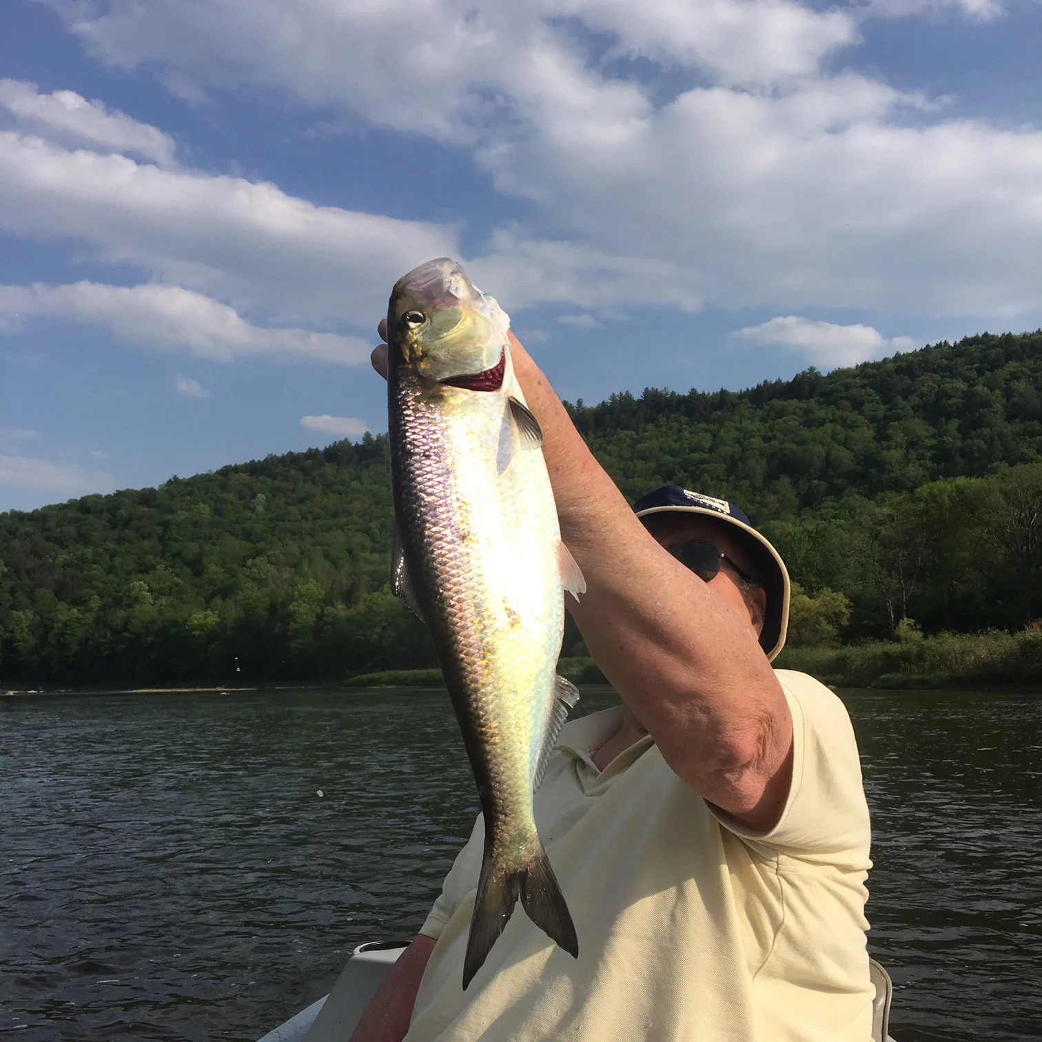 5/25/16 Ken with his first American Shad!