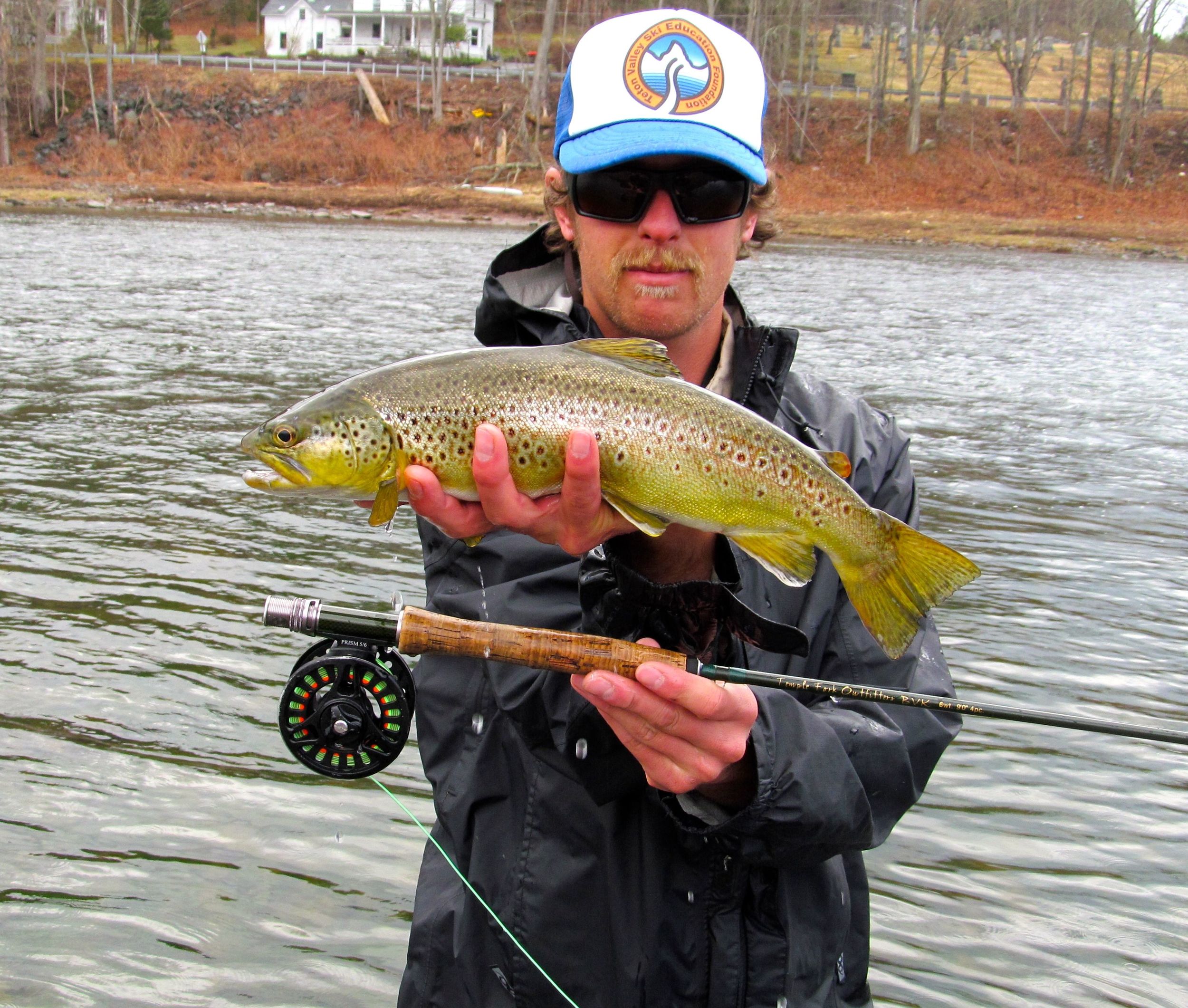 Nice brown on the fly rod.