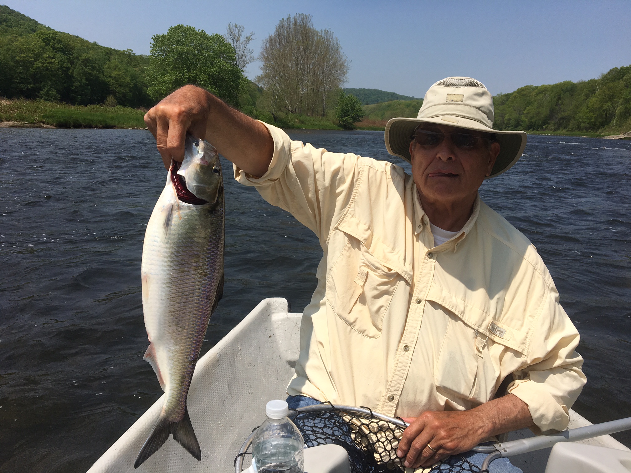 Ed G. with a Roe Shad.