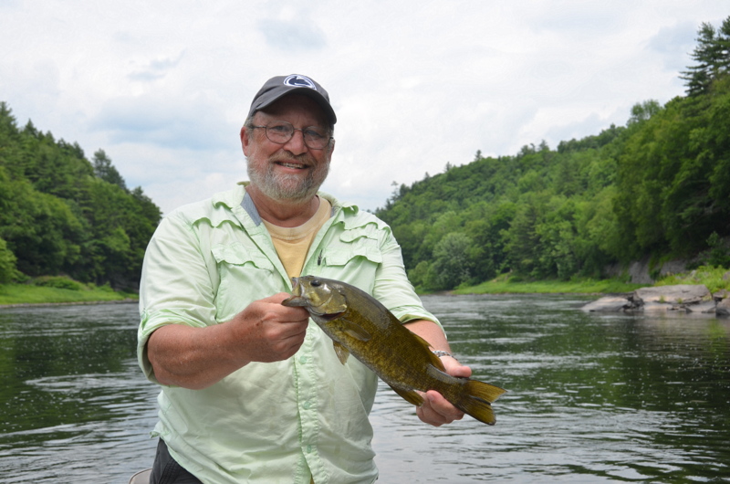 06/29/16 Healthy Smallmouth Bass out of the Delaware river.