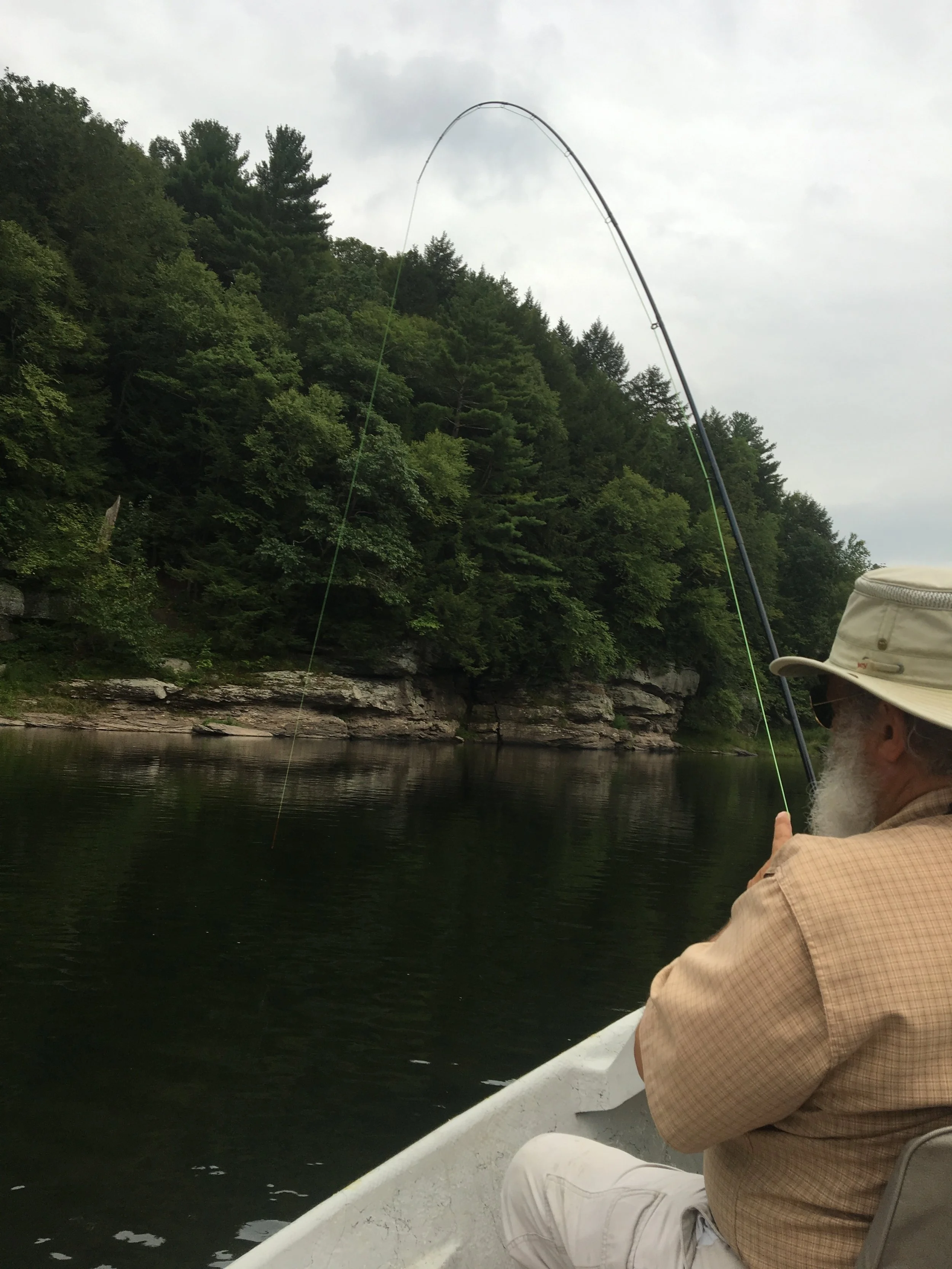 Bending the fly rod on a Delaware river Smallmouth