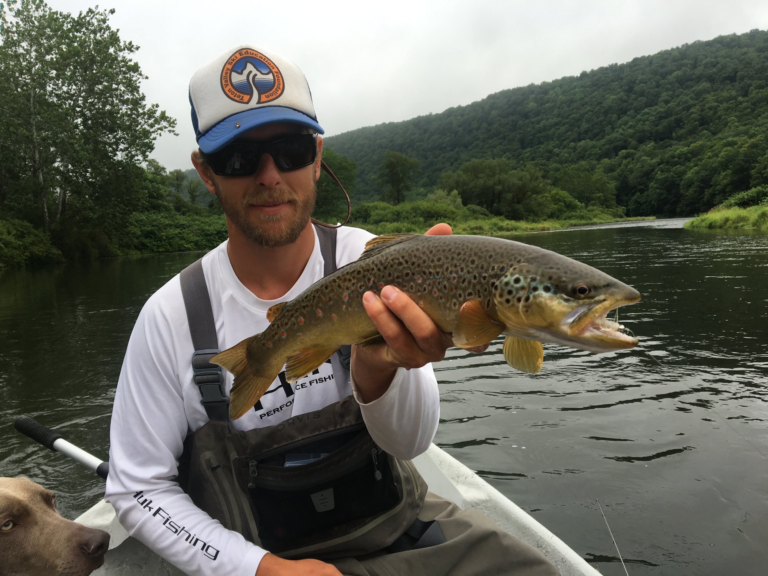 A nice Brown with red spots taken on a streamer.