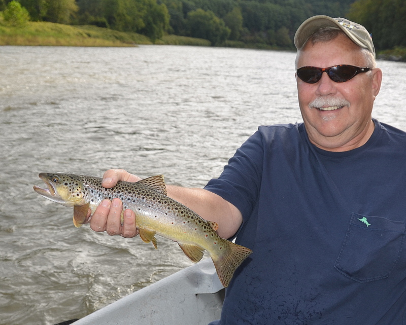 A little Brownie for Bob L.