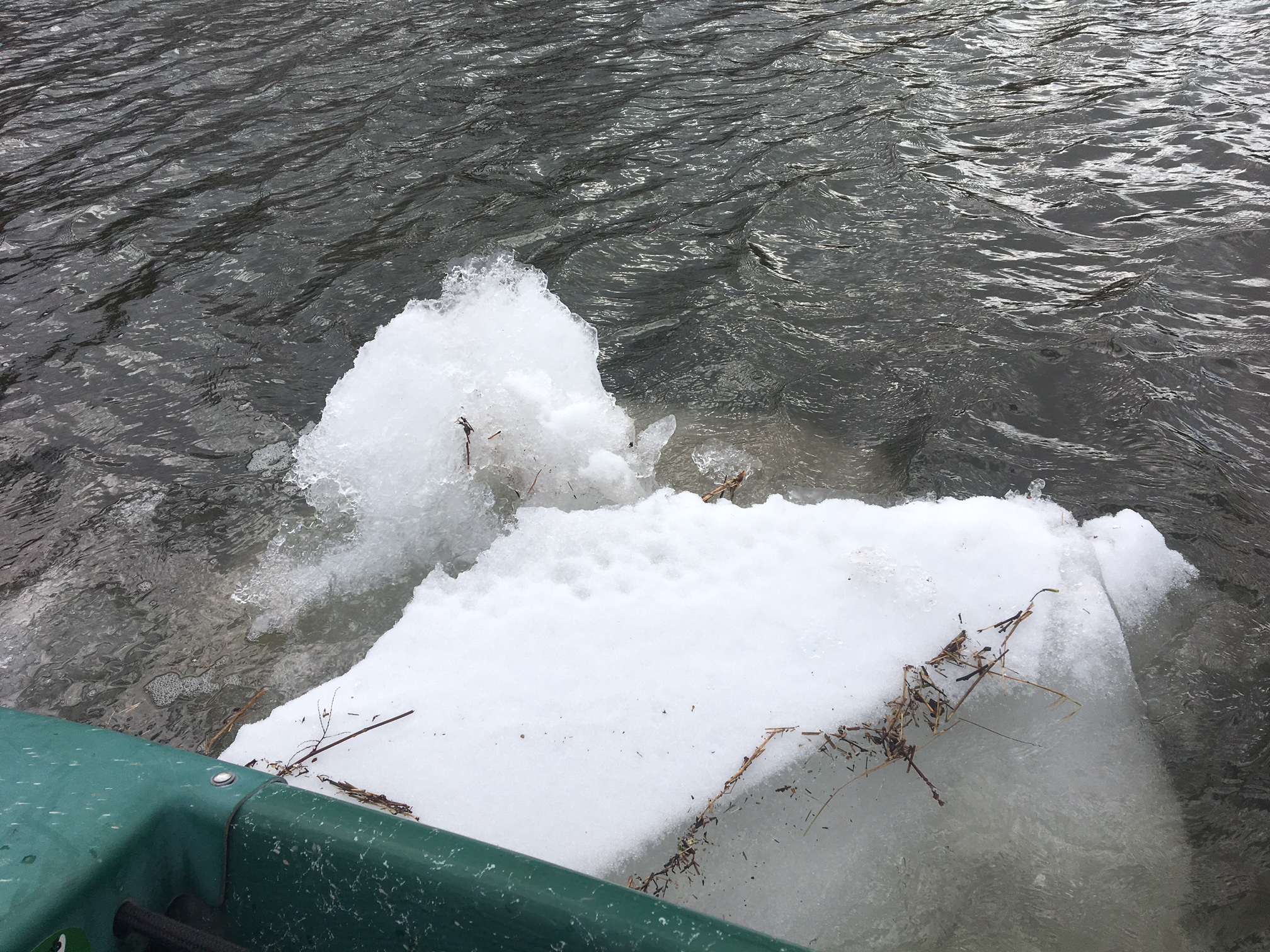 1/26/2017 Icebergs!